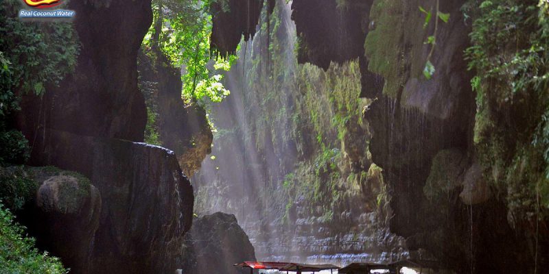 PIKNIK NGGAK SELALU HARUS JAUH, INI 3 TEMPAT PIKNIK SERU YANG ADA DI JAWA BARAT